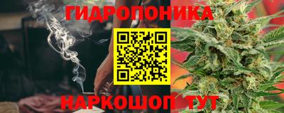 мдма Новодвинск