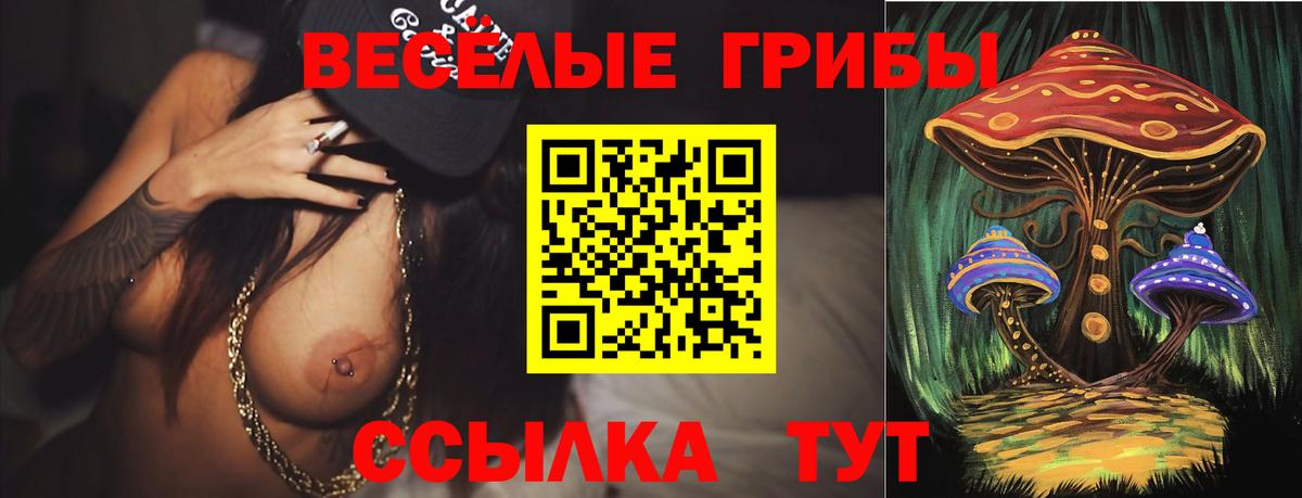 Псилоцибиновые грибы MAGIC MUSHROOMS  Псилоцибиновые грибы GOLDEN TEACHER  Вход с VPN  Среднеуральск 